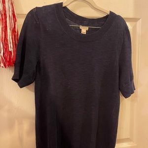 JCrew blue knit sweater
